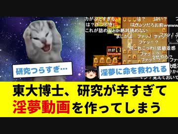 【猫ミーム】東大博士が研究するの辛すぎて淫夢動画を作った話