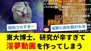 【猫ミーム】東大博士が研究するの辛すぎて淫夢動画を作った話