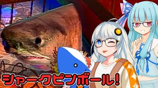 【シャークピンボール】あおきずダラダラサメピンボール 【VOICEROID実況プレイ】