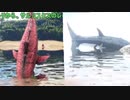 恐怖！生えるサメ、激でかお魚　part5【ゆっくり実況】【ARK Survival Evolved】