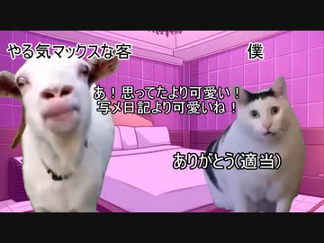 【猫ミーム】学生時代にニューハーフ風俗嬢として3連続絶頂した日