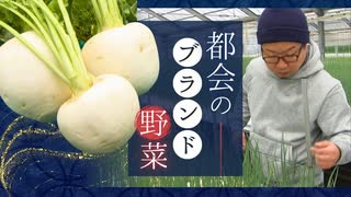 野菜にもストーリーがある　ペペロンチーノの食材は都会の片隅で生産される「箱崎小町」刺し身にもステーキにもなる「博多カブ」