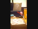 【#Shorts】はなまる描いちゃおう。【#VArkShorts】