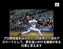 プロ野球選手ってどんな仕事なの