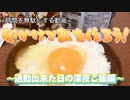 【初投稿】数年前の社畜時代に勢いだけで作った意味わからん料理動画【ʅ(ツ)ʃ】