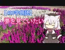 【400字朗読】夢を見ていたい