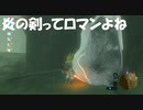 #101【ゼルダの伝説 ブレス オブ ザ ワイルド】雪山には炎の剣ですわ！