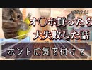 お〇ほ買ったら親にバレた話　【猫ミーム】【ネコミーム】【ネコmeme】【猫マニ】