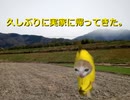 実家に帰省した話　の1【猫ミーム】