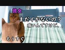 遅○すぎた猫　