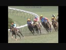 2010 京都記念(GII)　ブエナビスタ