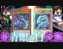 蛇眼と青眼の合体パワーで敵をねじ伏せる決闘者