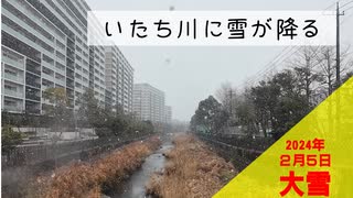 【2024年2月5日】いたち川にも雪が降りました【横浜市】