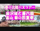 桜満開の金沢と富山一泊二日のバスツアーで金沢城と兼六園、富山の朝日舟川の春の四重奏に行きました。魚津の蜃気楼も。