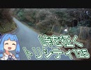 【琴葉姉妹車載】トリシティ125は悪路こそ喜んで走る