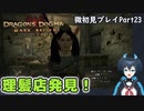 【DDDA】チトチトのドラゴンズドグマ：ダークアリズン微初見プレイPart23