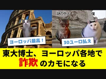 【猫ミーム】東大博士がヨーロッパ各地で詐欺にあう話