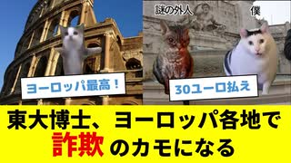 【猫ミーム】東大博士がヨーロッパ各地で詐欺にあう話