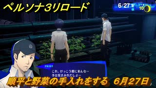 ペルソナ３リロード　順平と野菜の手入れをする　６月２７日　メインストーリー攻略　＃１３５　【P３R】