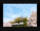 【和風BGM】心洗われる綺麗な曲【作業用BGM 】