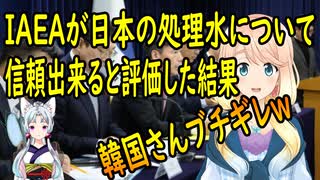 【韓国の反応】日本の処理水についてIAEAが正確度が高く信頼可能と評価した結果、韓国さんがブチギレ【世界の〇〇にゅーす】