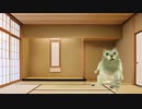 猫ミーム化MUR猫