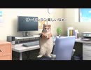 【猫ミーム】サーモンランで鮭畜カンスト勢になるまでの話【スプラトゥーン3】