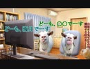 海月が動画投稿を始めることにしたときの話