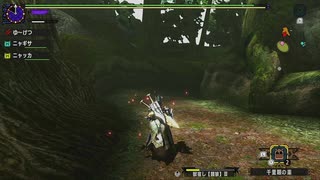 MHXXpart28_超☆メモ帳～跳狗竜狩猟編～