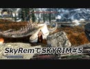 SkyRemでSKYRIM #5 ドラゴンの目覚め　激闘ミルムルニル