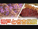 【旅レポ】二日で神戸と名古屋を巡るのは大変でした