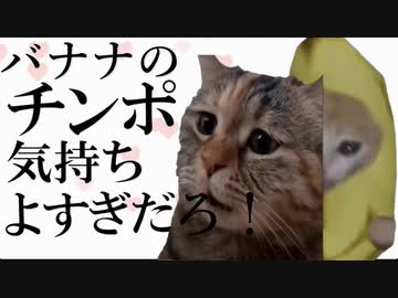 バナナのバナナ気持ちよすぎだろ！