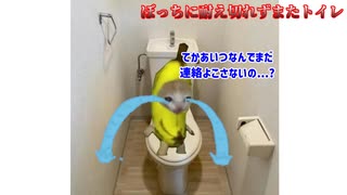 (猫ミーム)成人式が実質ボッチだった件について