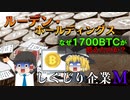 気付いたら仮想通貨をなくして子会社が解散してた【しくじり企業M】～ルーデンHD～