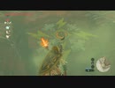 ゼルダの伝説　ブレス オブ ザ ワイルド　実況プレイPart184