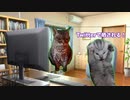 【DBTB】 ひまりちゃんのどんぼるふぁい！＃26　大戦犯をかました日