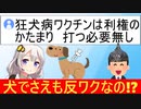 陰謀論者「狂犬病ワクチンは打つな！愛犬を守る！」→ネット民、ドン引きする…