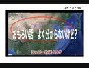 24・2・10　良く分からんけど　私達は何も知らないのだ！