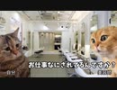【給料日編】ホモビデオ制作会社アルバイトの日常 #猫ミーム #猫マニ