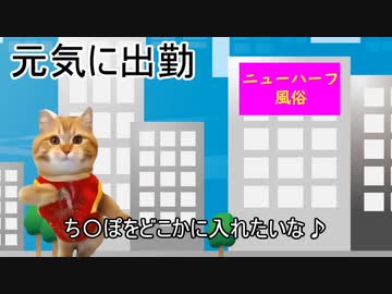 【猫ミーム】学生時代にニューハーフ風俗嬢として初めて秘境を潜った日