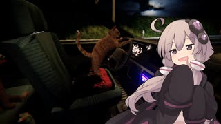 ゆかりさんと深夜のドライブ【Nip For Speed】