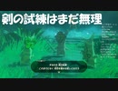 #104【ゼルダの伝説 ブレス オブ ザ ワイルド】今の俺の実力では剣の試練は無理！