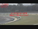 UMAJO？競馬予想「2024京都記念編」