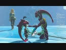 #105【ゼルダの伝説 ブレス オブ ザ ワイルド】ミファーの祈り