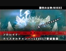 【NIKKE】 勝利の女神:NIKKE ソロレイド クリスタルチャンバーLEVEL7撃破動画