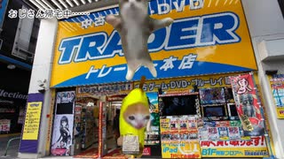 煩悩しかないエロゲーマーの一日