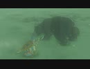 ゼルダの伝説　ブレス オブ ザ ワイルド　実況プレイPart185