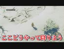 【ゆっくり実況】ここ、どうやって降りよう... Part4【ゼルダの伝説 ティアーズ オブ ザ キングダム】