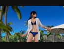 【DoaX3/女天狗+ほのか】 着替え成功shuffle