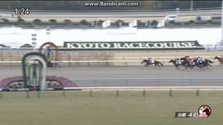 2024年2月11日　京都4R　3歳1勝クラス　フラムリンガム